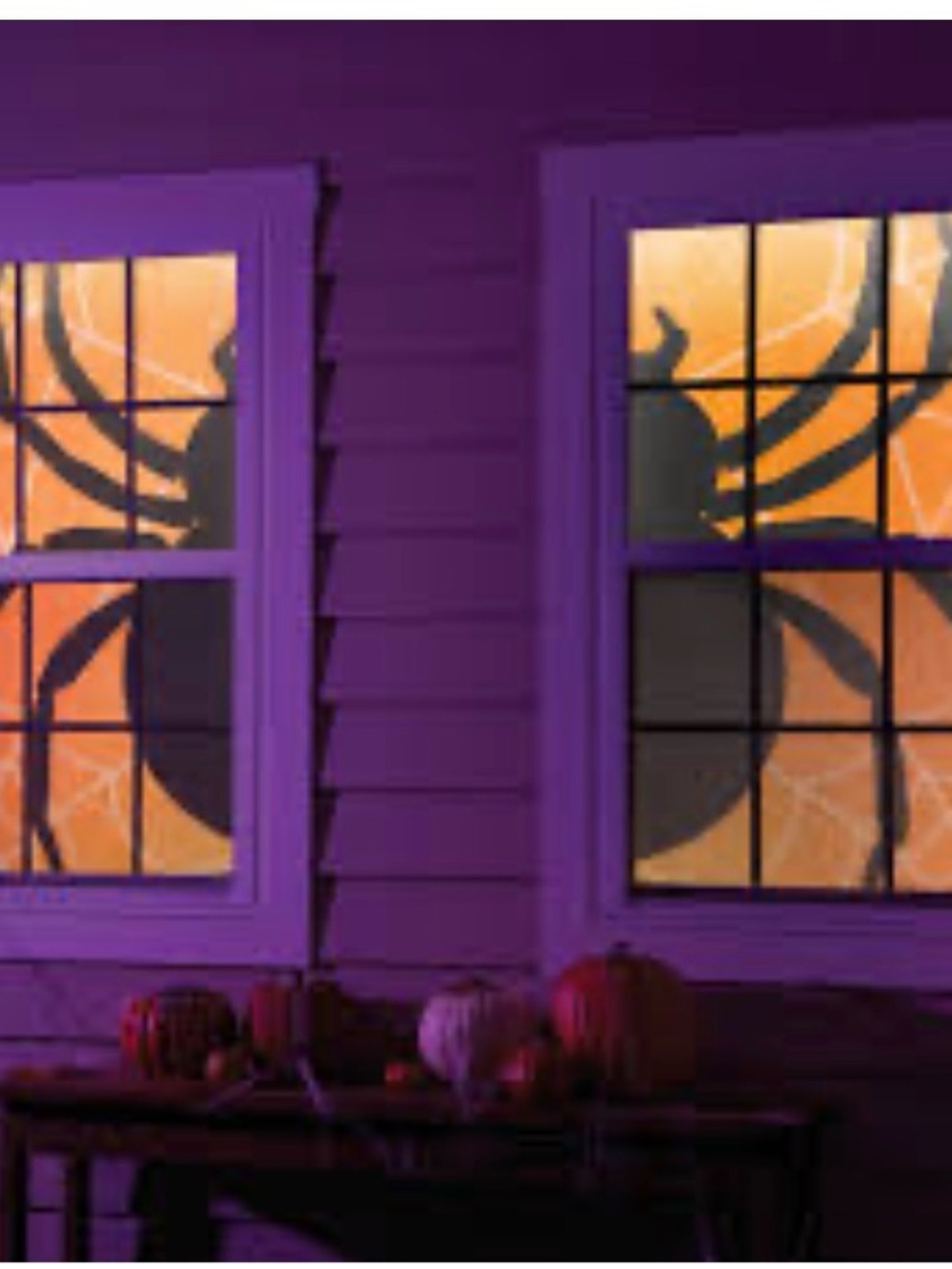 Halloween Spider Window Panel- 2pc